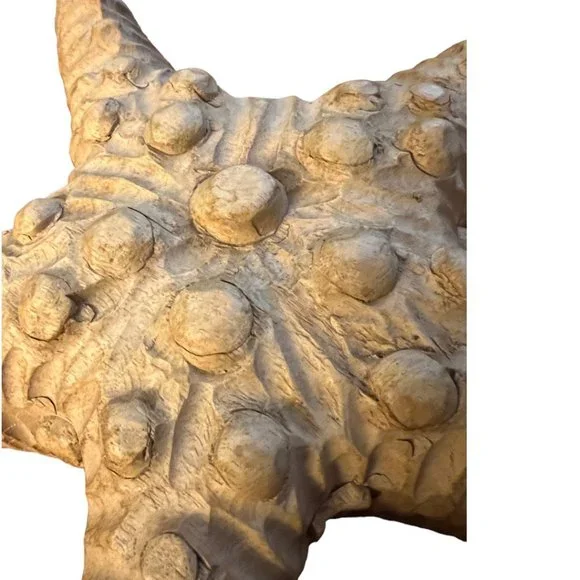 Handcarved Wooden Starfish Large Carved Solid Wood Art Decor 2 lbs Beach 11" - Picture 5 of 8